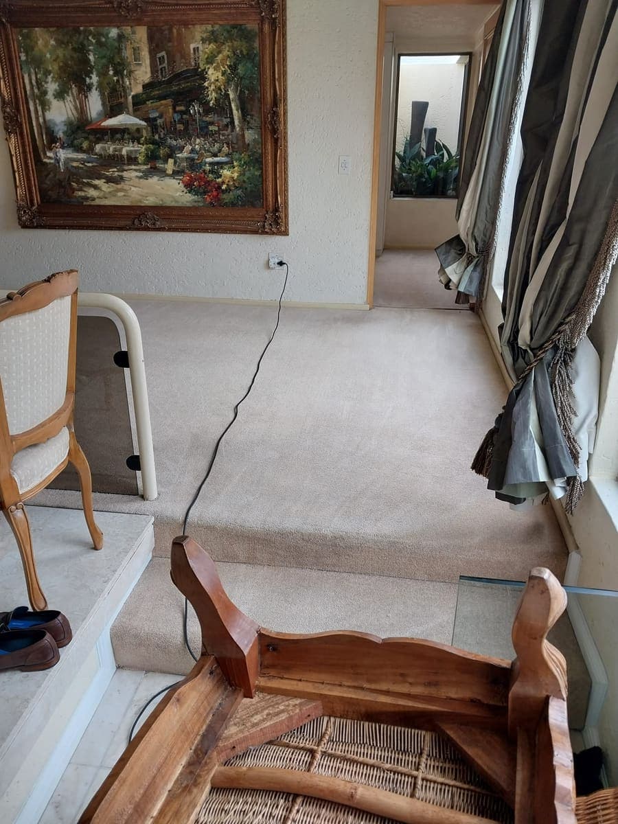 Carpet cleaning