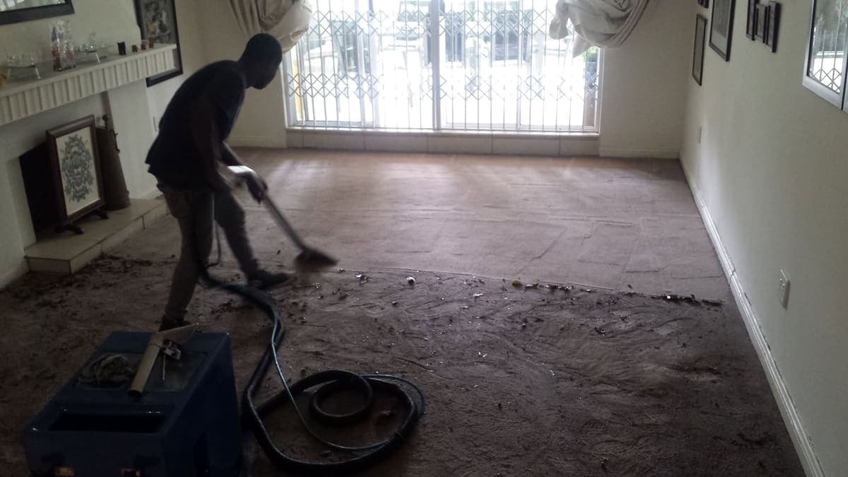 Carpet cleaning