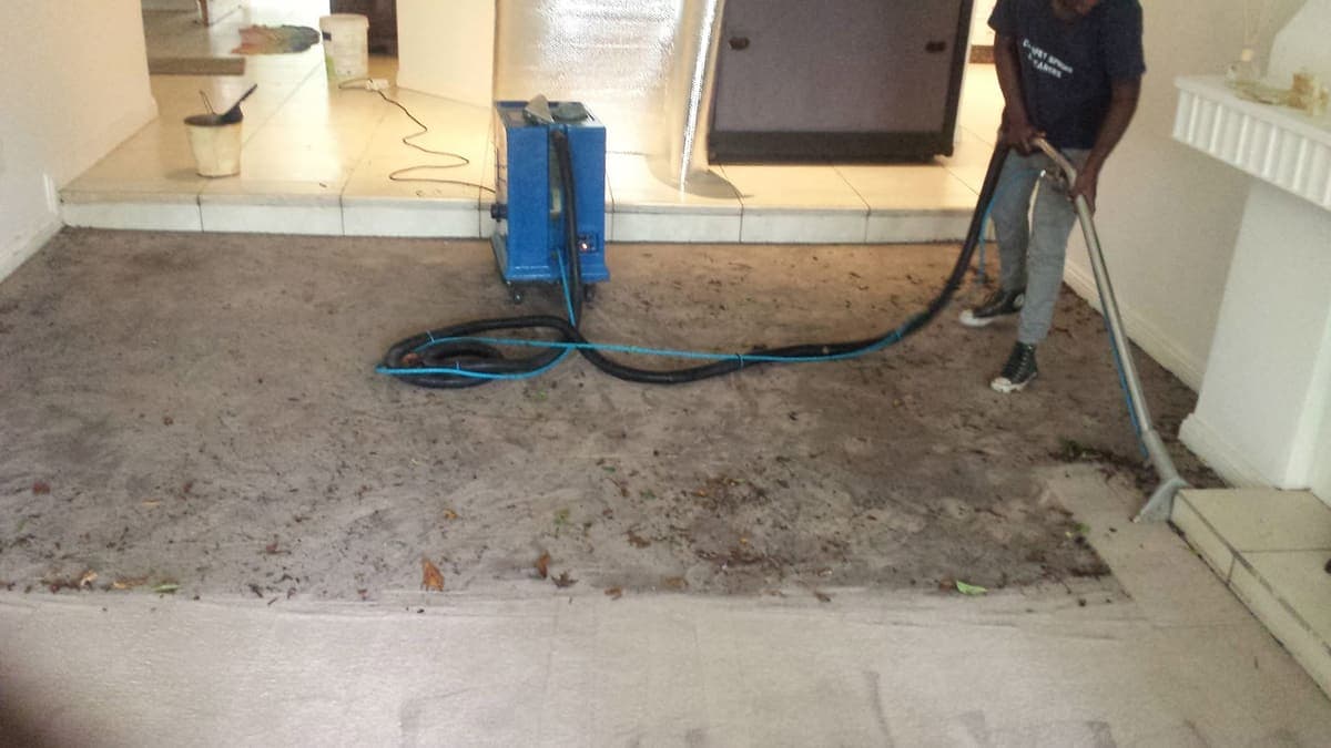 Carpet cleaning
